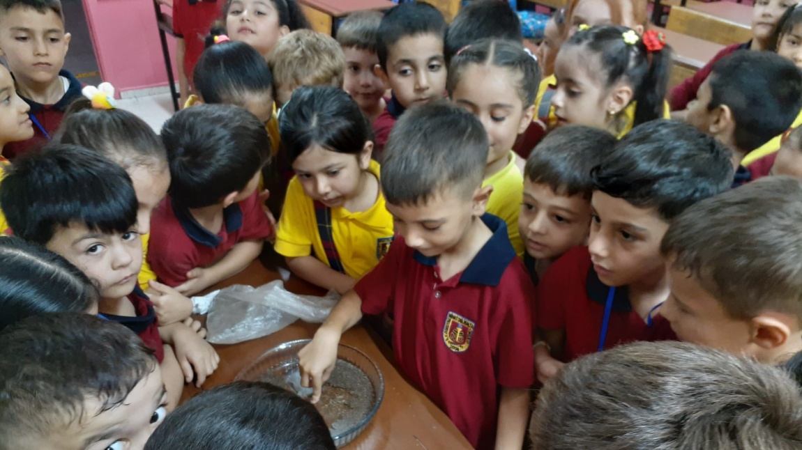 1-D SINIFI TEMİZLİK ETKİNLİĞİ MİKROP DENEYİ